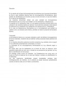 El estudio de los tipos de fermentaciones