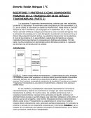 ECEPTORES Y PROTEÍNAS G