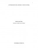 Actividad banco de la Republica y Banco Central