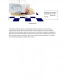 PROGRAMA DE LIMPIEZA Y DESINFECCION DE PISOS PLANTA DE LACTEOS