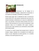 PLANEACION ESTRATEGICA microempresa del Sushi Nito