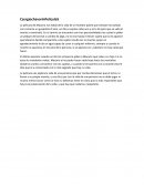La película de Macario nos habla de la vida de un hombre