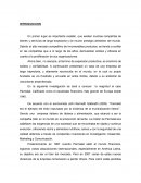 En primer lugar es importante resaltar, que existen muchas compañías de bienes