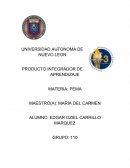 EL NUEVO PRODUCTO INTEGRADOR DE APRENDIZAJE