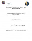 EL NUEVO ENSAYO DE METODOS CUANTITAVIVOS Y CUALITATIVOS¨