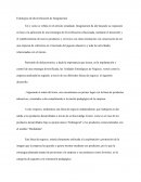 Estrategias de diversificación de Imaginarium