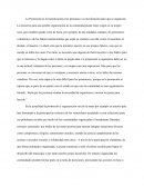 PROMOCION Y ORGANIZACION AVANCE