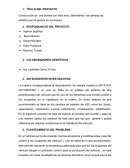 Proyecto bomba de hielo