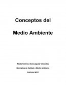 Conceptos del medio ambiete