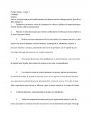 Para ser la mejor empresa del mundo tenemos que mejorar nuestra estrategia general