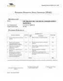 Programa Operativo Anual Individual (POAI)