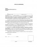 Carta de Compromiso-II CONGRESO INTERNACIONAL