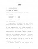 INSTALACION DE UNA PLANTA PROCESADORA DE PISCOS