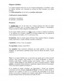 Los órganos linfoides