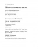 SOLO DEBES SOBREVIVIR