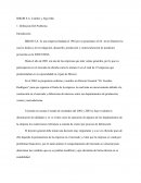 Analisis del caso BIKOR S.A.