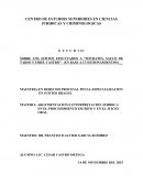 ARGUMENTACION E INTERPRETACION JURIDICA EN EL PROCEDIMIENTO ESCRITO Y EN EL JUICIO ORAL