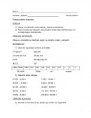 Trabajo practico. Dibuja un ecosistema y clasifícalo según: su tamaño, origen y ubicación.
