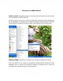 Afinamiento del SMBD ORACLE