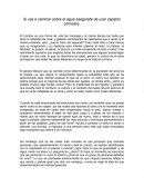 Si vas a caminar sobre el agua asegúrate de usar zapatos cómodos