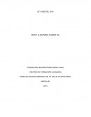 GERENCIA DE LA SALUD OCUPACIONA - LEY 1562 DEL 2012
