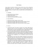 Plan Táctico