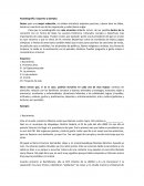 Autobiografía. Esquema y ejemplo.