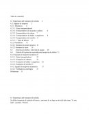 Transporte de solido