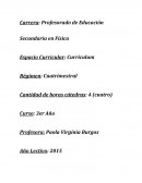 Teniendo en cuenta la pluralidad de perspectivas y la riqueza bibliográfica existente, la temática curricular será abordada en este espacio desde una visión amplia