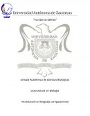 Ejemplo de algoritmos cualitativos