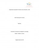 Organización empresarial Colombia conoce descubre y visita