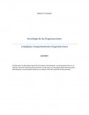 Sociología de las Organizaciones - Complejas Comportamiento Organizacional