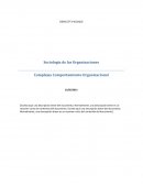 Sociología de las Organizaciones - Complejas Comportamiento Organizacional