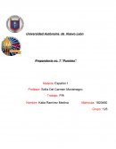 Punto de vista del personaje