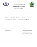 Descripción fenológica del cultivo de pimentón sometidos a fertilización enterrada de N.P.K en el estado Monagas año 2015