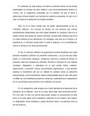 Ensayo individuo reflexivo