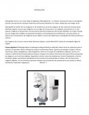 Diapos miembro inferior