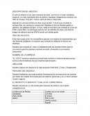 Empresariales - Negocio de bar para menores de edad