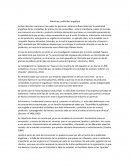 Articulo Natuchips, publicidad engañosa