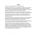 REPORTE PELICULA "AMIGOS"