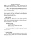 La disciplina de los equipos