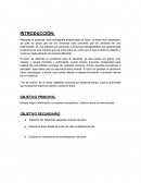 Monografía sobre el Dolor