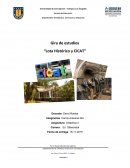 Actividades pensadas y adaptadas para alumno de 5to basico