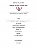 LA APLICACIÓN DE VALORES CULTURALES EN LOS ESTUDIANTES DEL III DE BACHILLERATO GENERAL UNIFICADO CIENCIAS A B y C DE LA UNIDAD EDUCATIVA GENERAL ANTONIO ELIZALDE