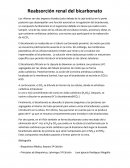 Reabsroción del bicarbonato renal