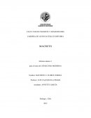 MACBETH Informe número 1