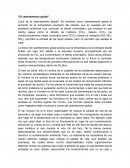 ¿Qué se entiende por calentamiento global?