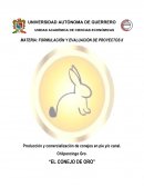 Proyecto de investigacion Producción y comercialización de conejos en pie y/o canal. Chilpancingo Gro.