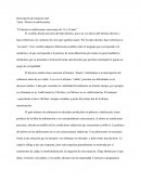 Tema: Aborto en adolescentes