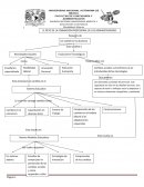 El reto de la formación profesional de los administradores